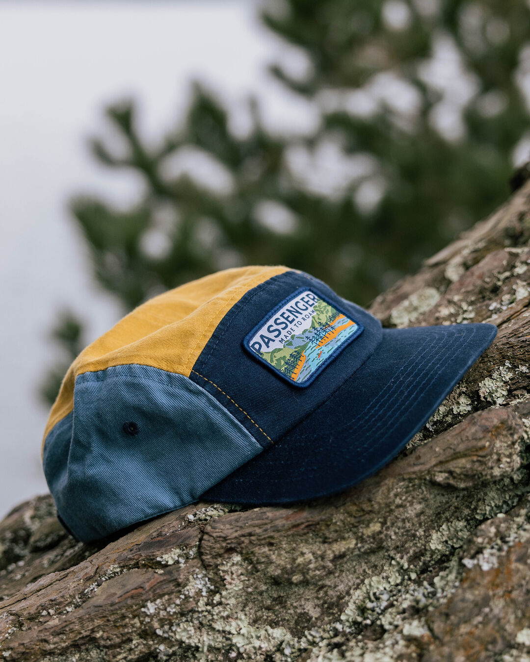 Love The Wild 5 Panel Cap Multi – Passenger