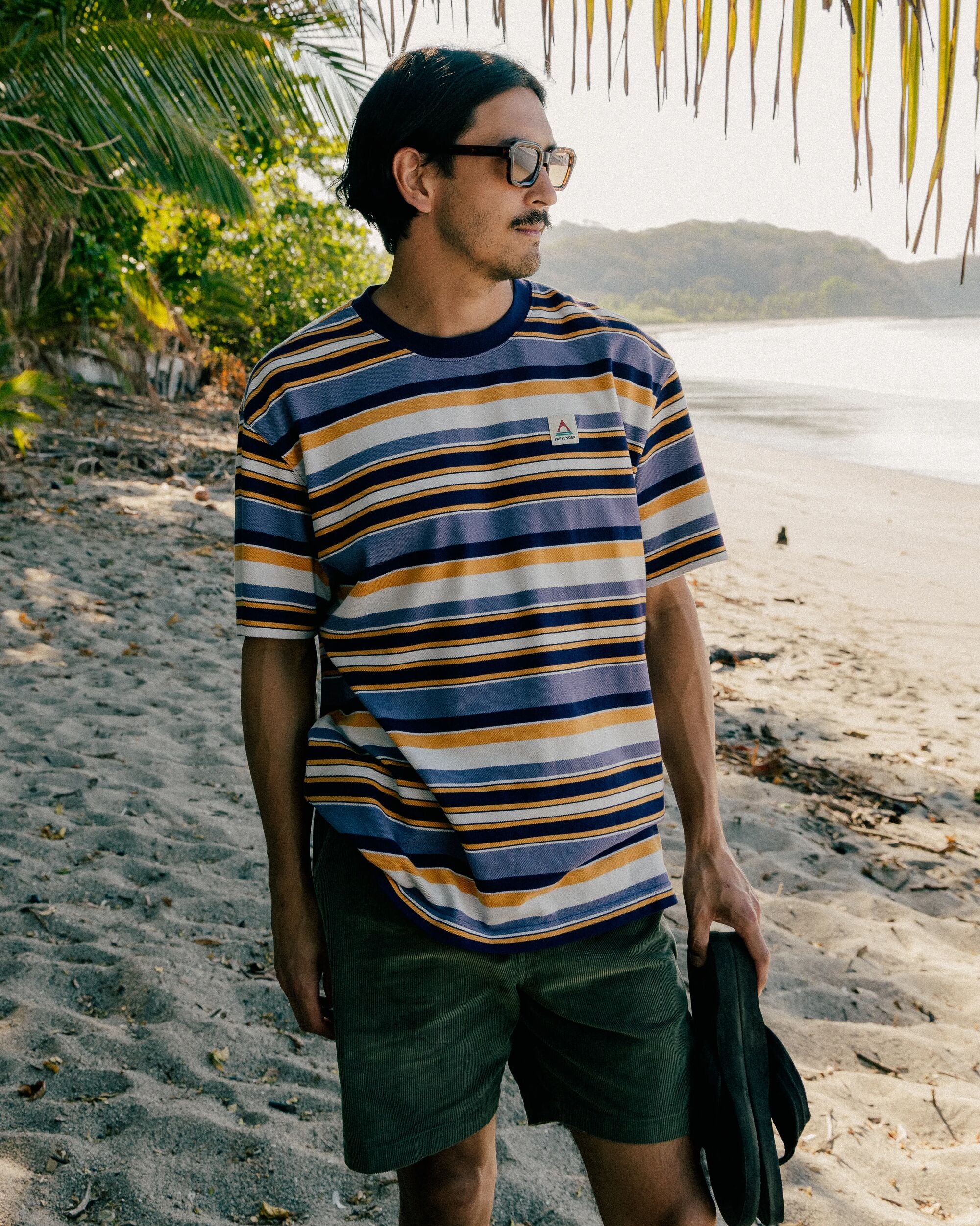 Wild Pine Stripe T-Shirt Heather Multi Stripe – Passenger