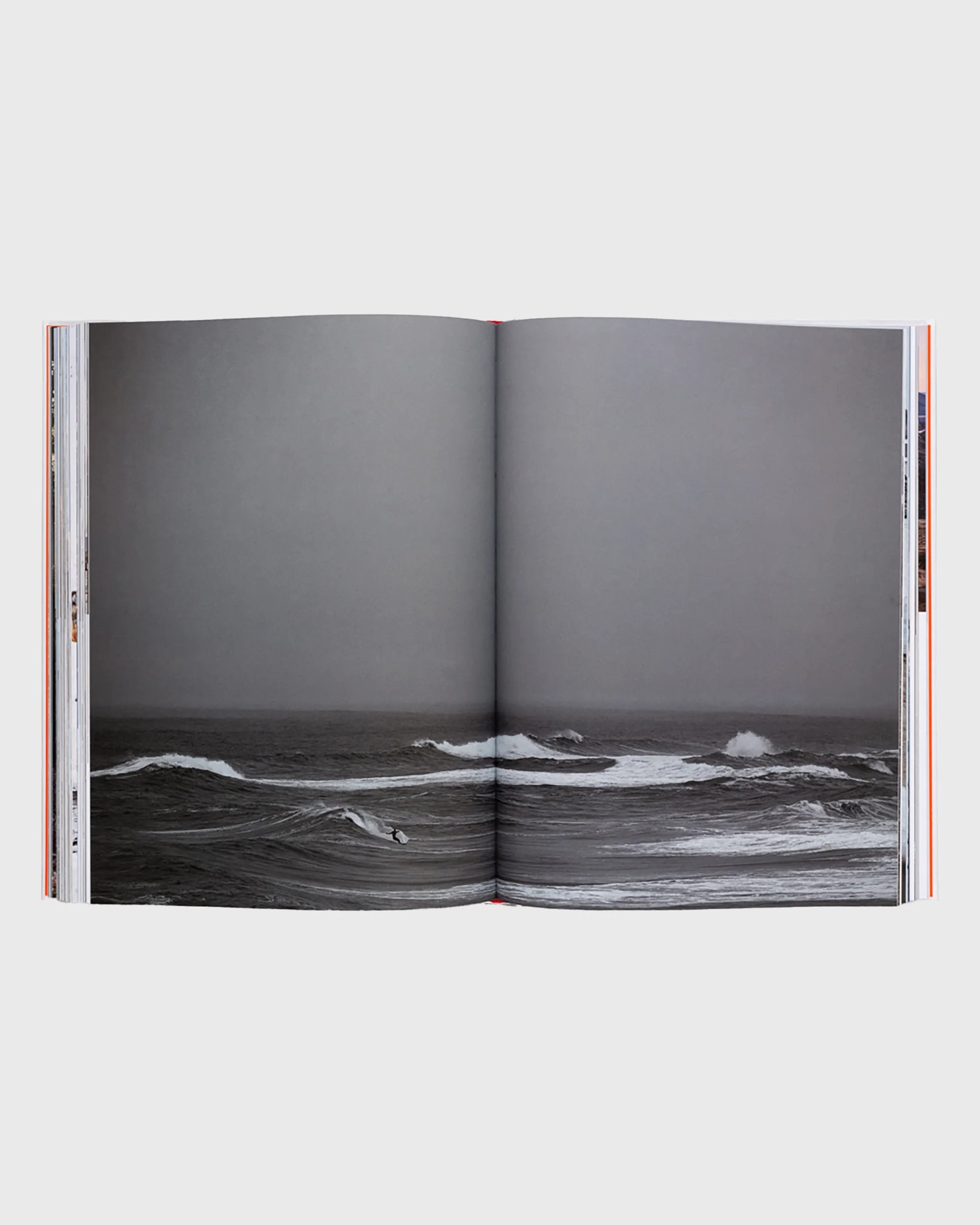 洋書 Shared Voyage 洋書 Shared Voyage 洋書 Shared Voyage 洋書 Shared Voyage 洋書