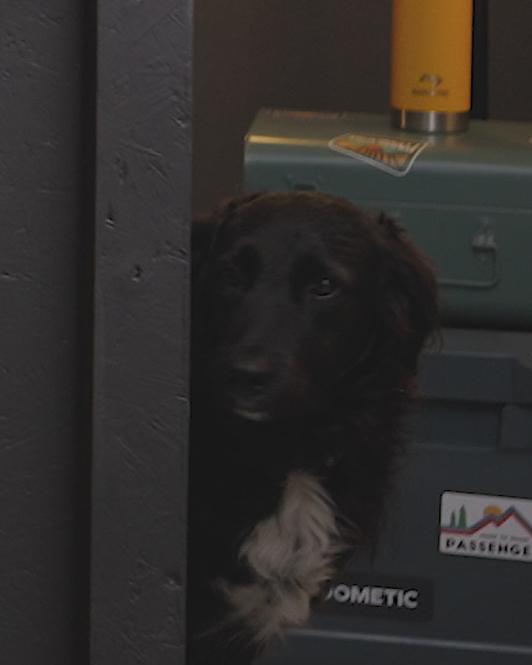 Nikwax TX Direct Wash In Waterproofer - 300ml - White - 