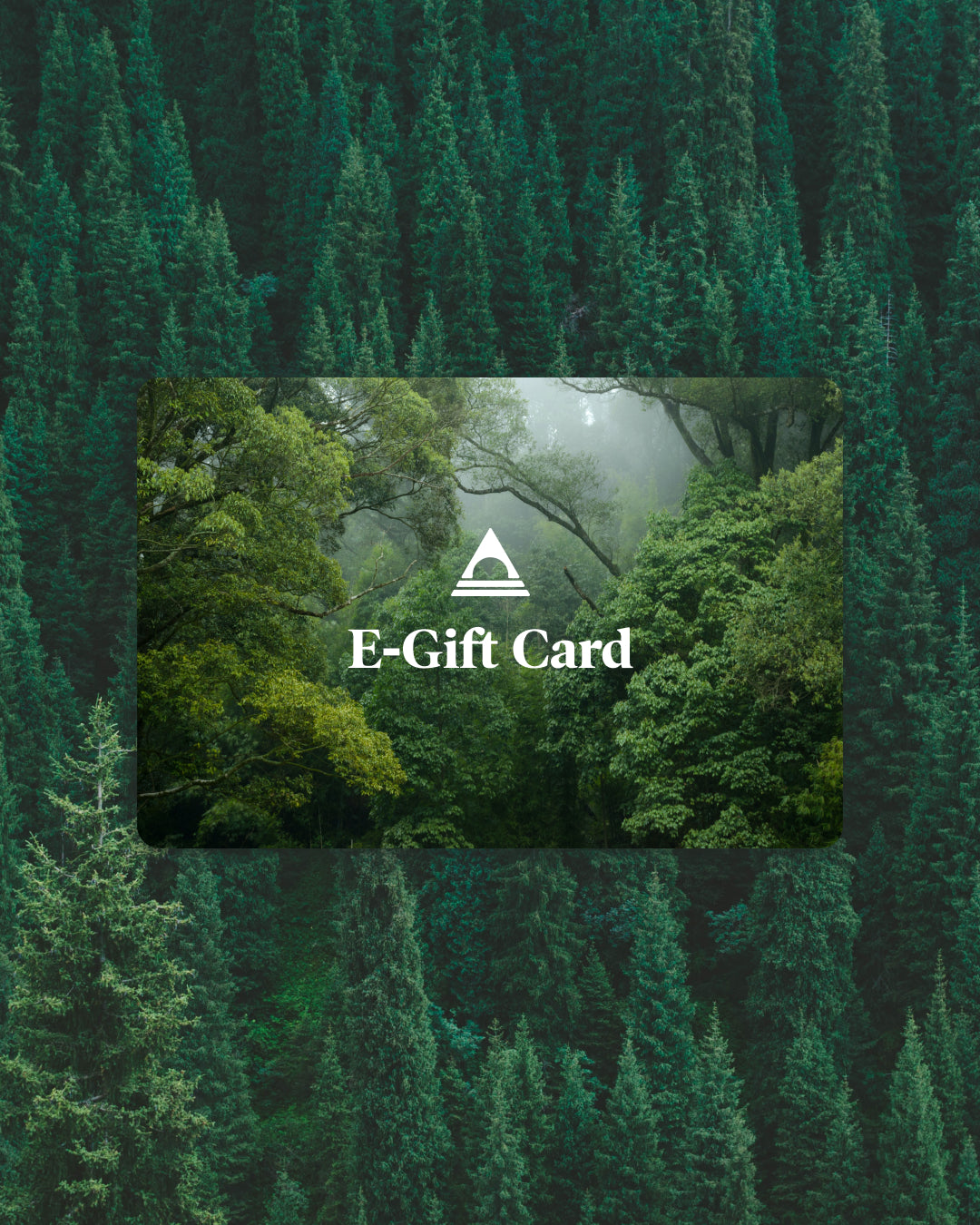 Passenger E-Gift Card